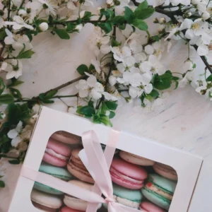 Chocolate Truffle Box